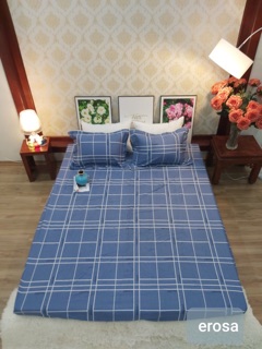 Bộ ga chun cotton Hàn Quốc 1,6*2m