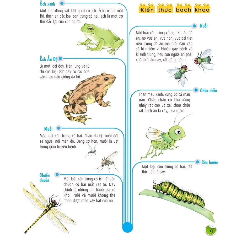 Sách - Bách Khoa Nuôi Dưỡng Thói Quen Tốt Cho Trẻ - Thói Quen Tốt Trong Học Tập