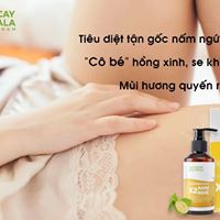 Gel Vệ Sinh Phụ Nữ Trị Viêm Ngứa X2 Nano Nghệ Cocayhoala 150ml