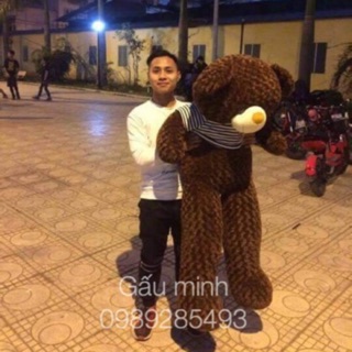 [rẻ bất ngờ] gấu bông tEdDy khổ vải:1m8 cao:1m6