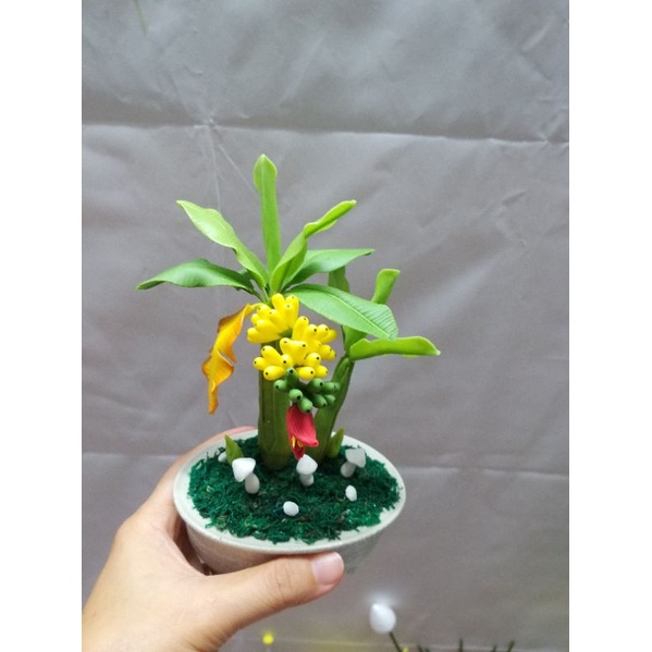 CHẬU CHUỐI , ĐU ĐỦ ĐẤT SÉT