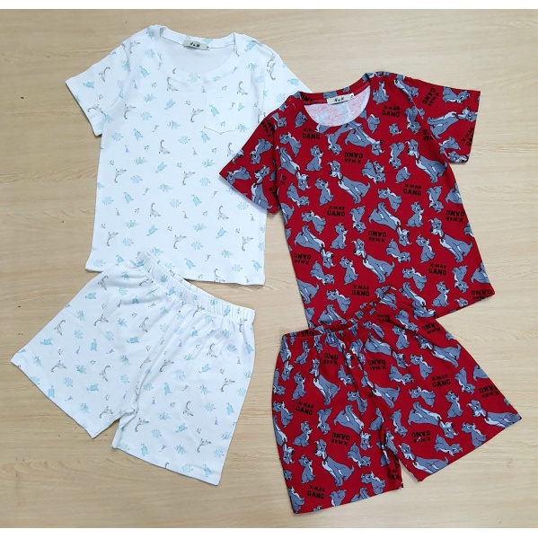 Bộ quần áo cộc tay cho bé trai size Đại 20kg đến 40kg chất thun cotton, in họa tiết cho bé trai - STMD