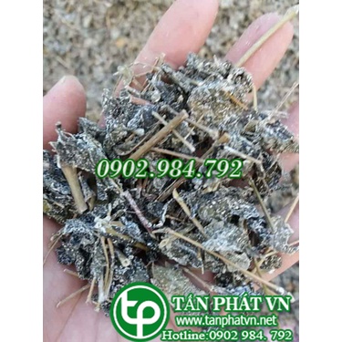- Chè dây Cao Bằng loại 1