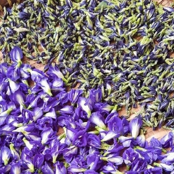 Hoa đậu  biếc sấy khô 10gr tạo màu làm bánh, pudding, đậu hũ cho bé