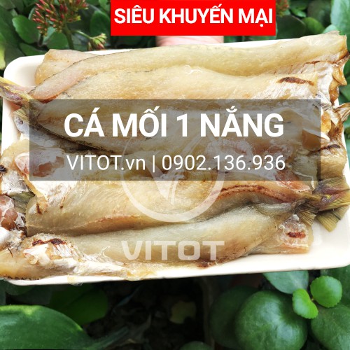 Khô CÁ MỐI 1 MỘT NẮNG - SAY ĐẮM LÒNG NGƯỜI NGÀY MƯA GIÁ LẠNH