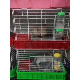 Chuồng Thỏ Lồng Thỏ Size Đại 60*41*37 cm
