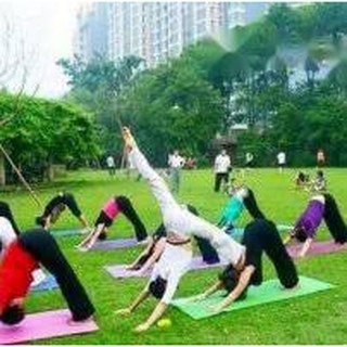Thảm tập yoga cao cấp