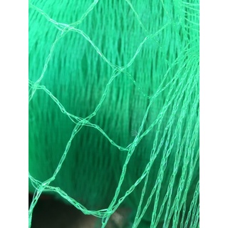 Lưới làm giàn cây leo, lưới trồng cây khổ rộng 2 mét
