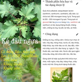 DUNG DỊCH VỆ SINH THẢO MỘC