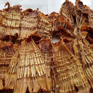 Măng khô Điện Biên - phơi kỹ- Đặc sản Tây Bắc Homemade