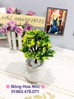 Hoa mini - chậu cảnh mini cho búp bê