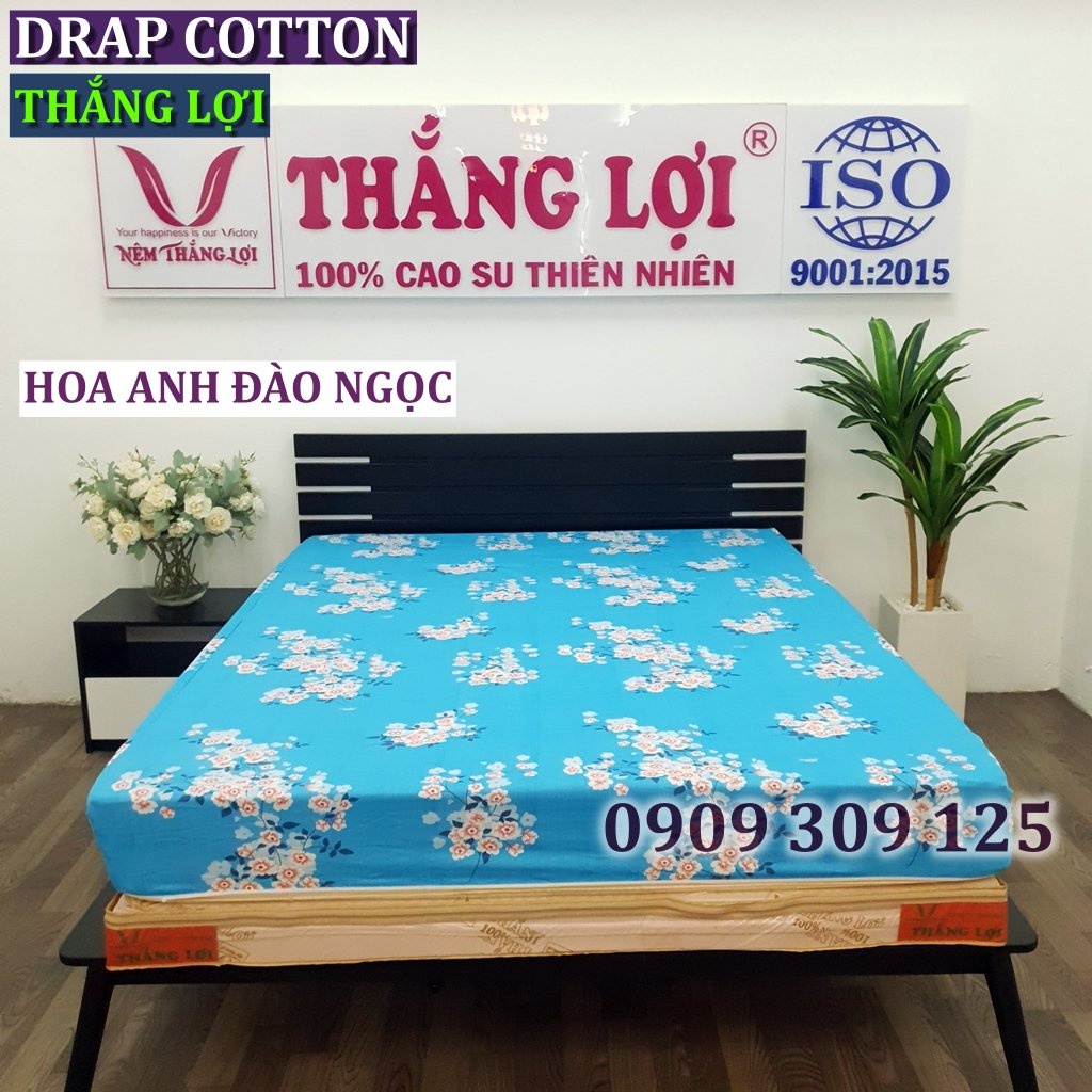 bộ ga cotton Thắng lợi chính hãng ( 4 món) IN LOGO THẮNG LỢI màu HOA ANH ĐÀO NGỌC