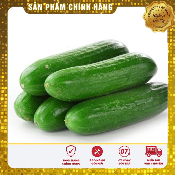 Hạt Giống Dưa Chuột Thái Lan(10 hạt)