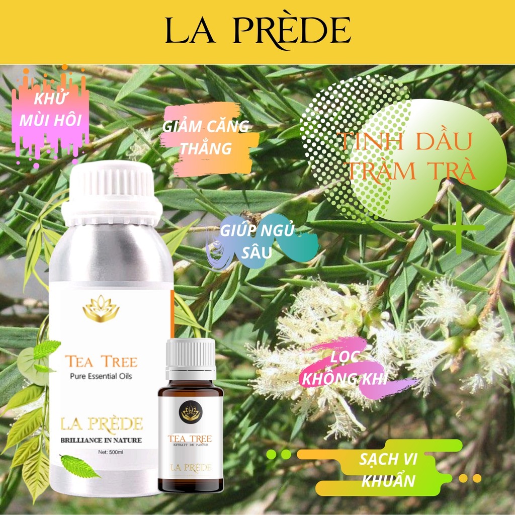 Tinh dầu cao cấp Tràm Trà (Made in india) Tea Tree