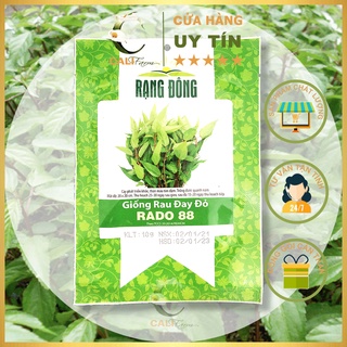 Hạt giống Rau Đay Đỏ Rado 88 Dễ Trồng, Nhiều Dinh Dưỡng (10gr)