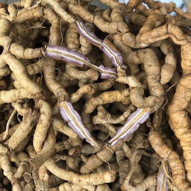 ☘️💥BA KÍCH TÍM  RỪNG⭐️💕🍁