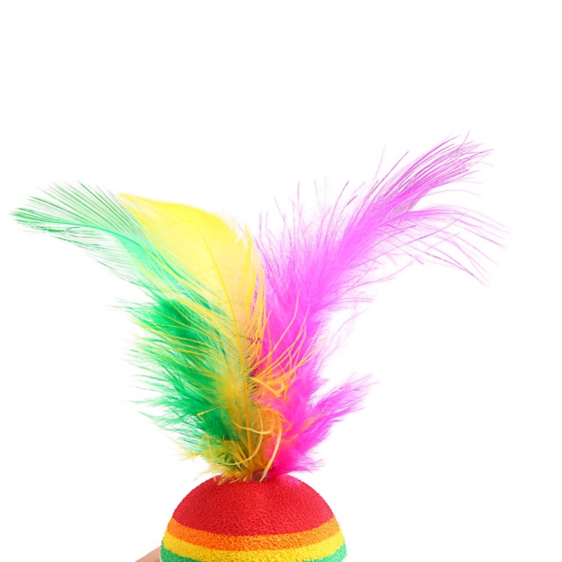 Cầu Vồng Ball Đồ Chơi Cho Thú Cưng Cho Mèo Lớn Đồ Chơi Lông Vũ Cho Mèo Quả Bóng Cầu Vồng Cho Mèo Con Mèo Cào Cào Bền Đồ Chơi Cho Mèo Đồ Chơi Thú Vị Cho Mèo