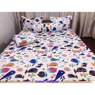 SET 5 MÓN {Size Drap 1m6} VẢI COTTON Thắng Lợi 100% chat chọn mẫu