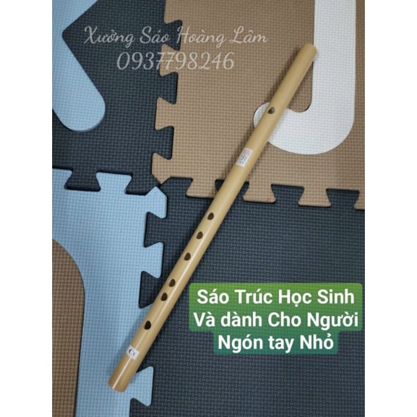 Sáo trúc Học Sinh 6 lỗ nhỏ đẹp rẻ chuẩn âm HL10