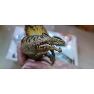 Mô hình khủng long Spinosaurus hãng PNSO
