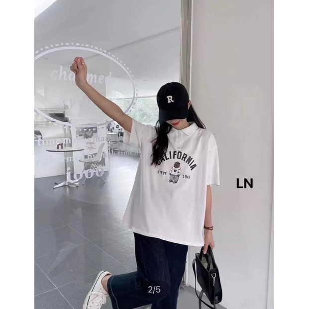 Áo phông gấu 1849 LN11