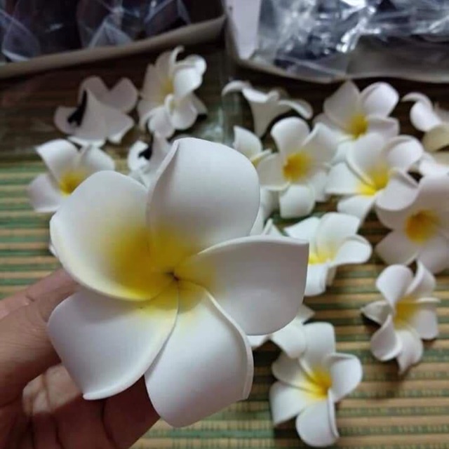 combo 50 kẹp tóc hoa đại