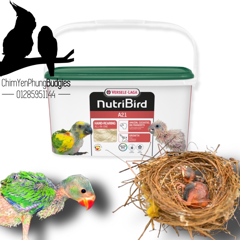 [Hoả tốc] Bột NutriBird A21 giàu dinh dưỡng cho vẹt non - XUẤT XỨ: BỈ_date 3/2023.