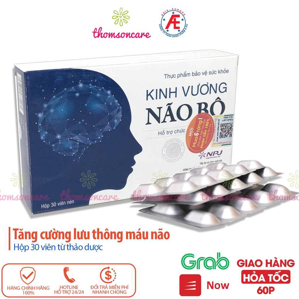 Kinh vương não bộ - Hoạt huyết dưỡng não, tuần hoàn não từ cao đinh lăng, Nattokinase