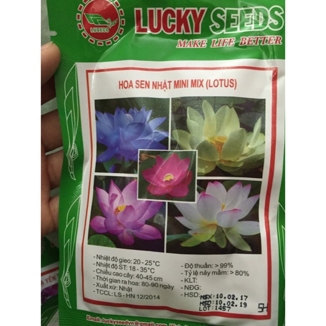 Hạt giống Sen nhật mini mix