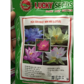Hạt giống Sen nhật mini mix