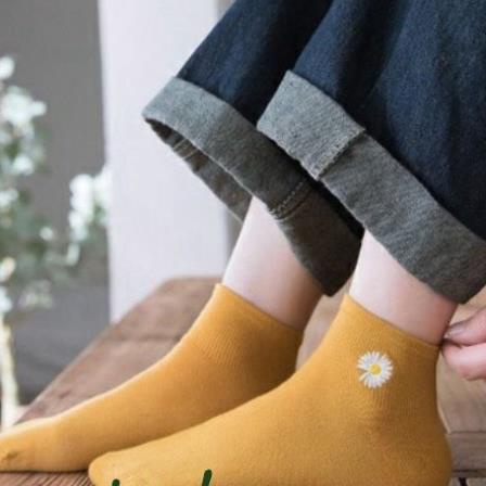 [Có Sỉ] Tất hoa cúc hot túi hoa cúc 10 đôi/túi