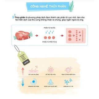 1kg Thức ăn cho chó vị vịt Natural Core