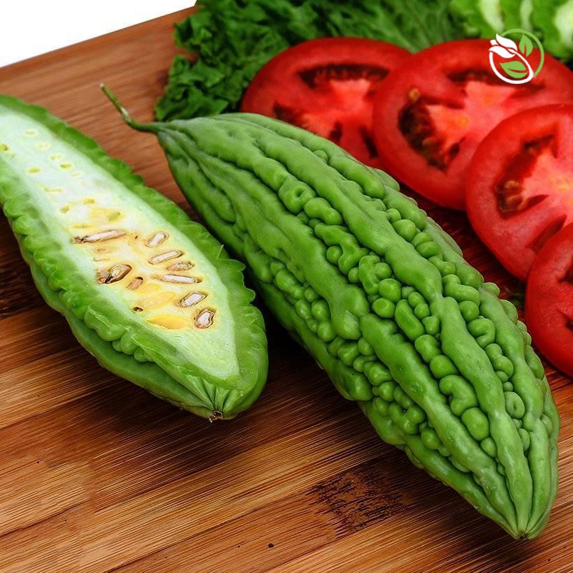 Hạt Giống Khổ Qua F1 PN-357 Phú Nông - Gói 2g - Bitter Gourd F1