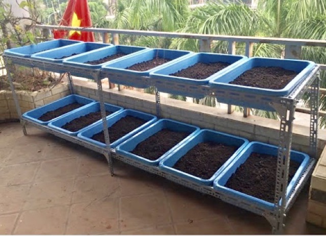 Kệ sắt trồng rau 3 tầng mỗi tầng 3 khay - CHƯA GỒM KHAY, trồng rau cây cảnh cho gia đình siêu đẹp