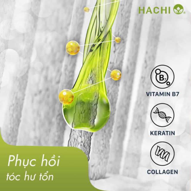 DẦU GỘI HACHI TINH DẦU ARGAN DÀNH CHO TÓC KHÔ XƠ HƯ TỔN GIÁ TỐT