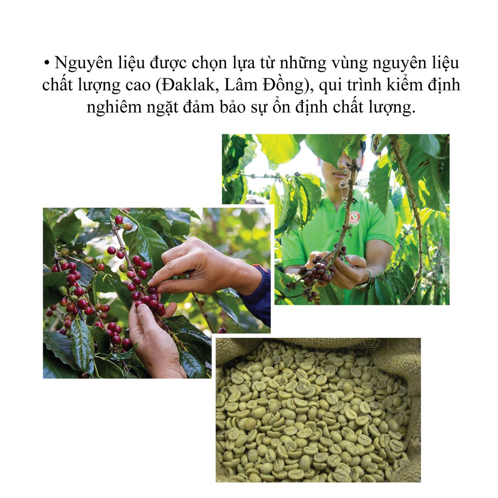 Cà phê Arabica Copen Coffee rang mộc, nguyên chất 100%, pha máy espresso, pha phin, 1 kg