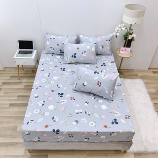 6.GA GỐI LẺ COTTON LỤA ( ẢNH SHOP TỰ CHỤP)