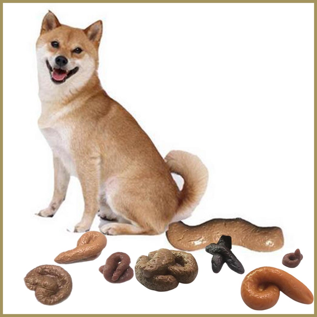 Bộ 12 Đồ Chơi Phân Giả Cho Thú Cưng paca3vn