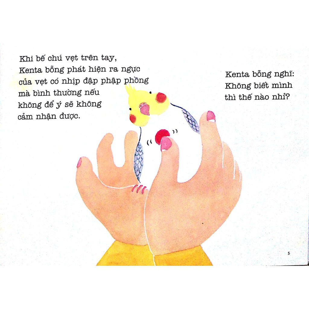 Sách Ehon - Sự Kì Diệu Của Cơ Thể - Bí Mật Của Trái Tim