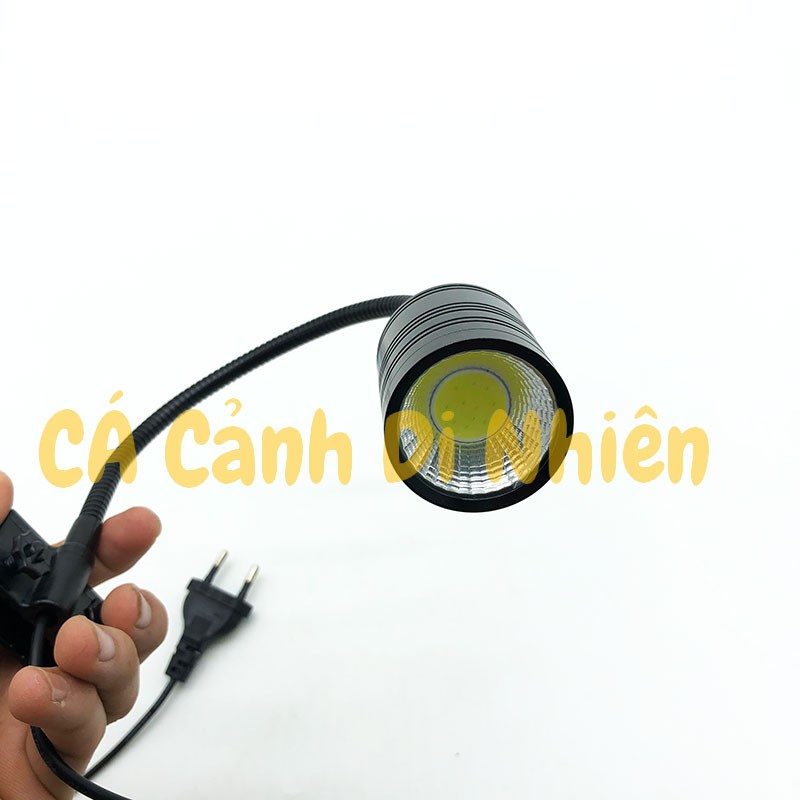 Đèn led thủy sinh kẹp thành rọi hồ cá BIOTOP E-230 5W