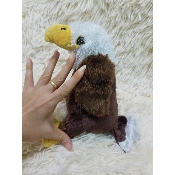 Gấu nhồi bông con chim đại bàng