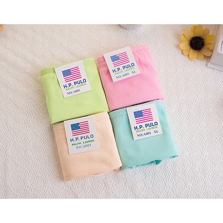 Combo 10 quần lót nữ - quần chip nữ trơn cotton co dãn 4 chiều CCD41