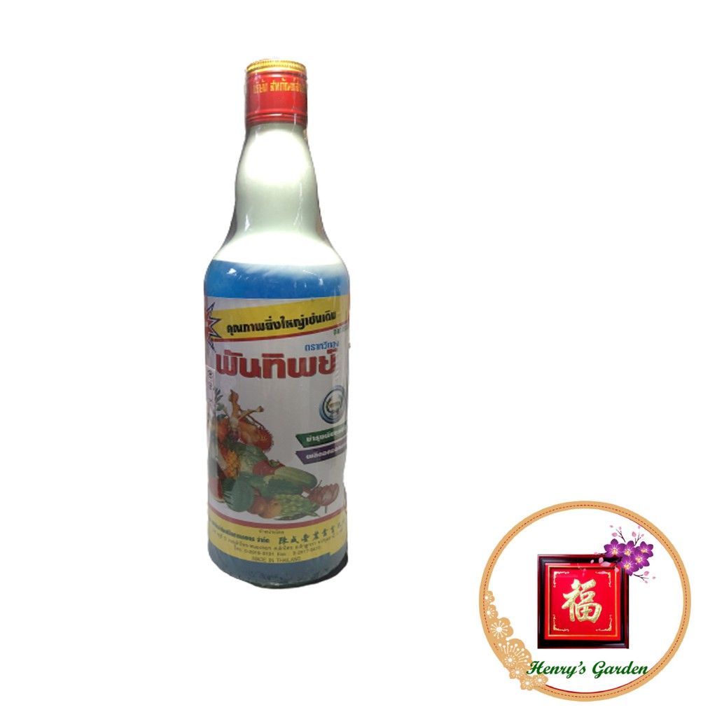 Kích Rễ Rootone (Sữa Thái GM) - #585# 725ml