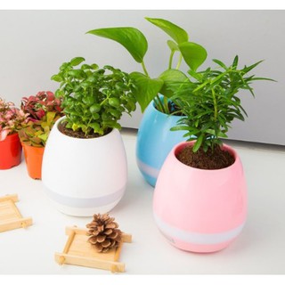 Loa bluetooth kiêm chậu trồng cây, đèn ngủ 7 màu sắc