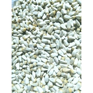 Hạt kham 1kg