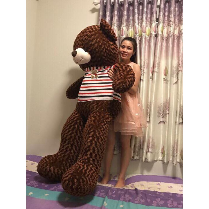 Gấu bông Teddy 1m6  Hàng Cao Cấp lông xù - Mẫu Gấu Teddy Đẹp dùng làm Quà Tặng.- TD1m6