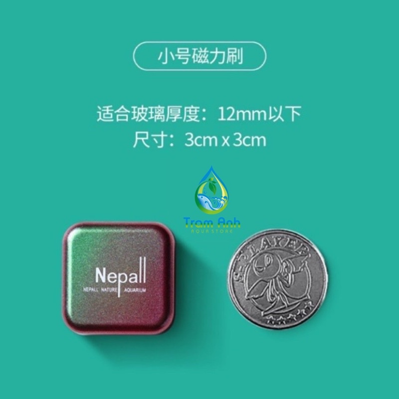 Cọ bể nam châm mini Nepall - vệ sinh bể cá -