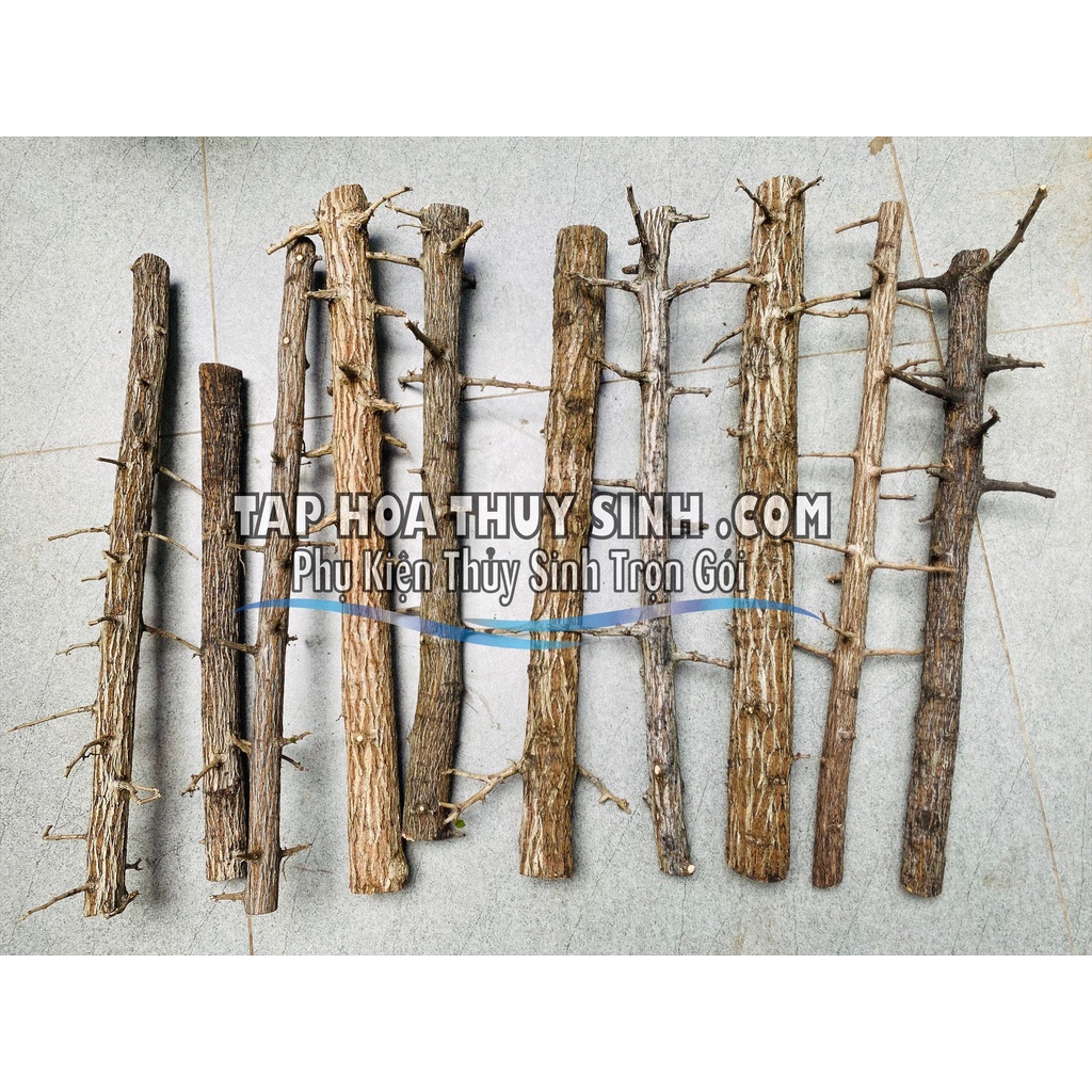 1KG LŨA THẠCH SÙNG CHUYÊN SET LAYOUT RỪNG BỂ THỦY SINH 1KG