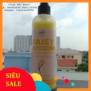 Dầu gội Daisy ( Baukrysie)