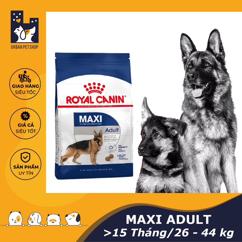 ROYAL CANIN - MAXI ADULT [ CHÍNH HÃNG ] - Thức ăn dành cho chó trưởng thành từ 25-44 kg